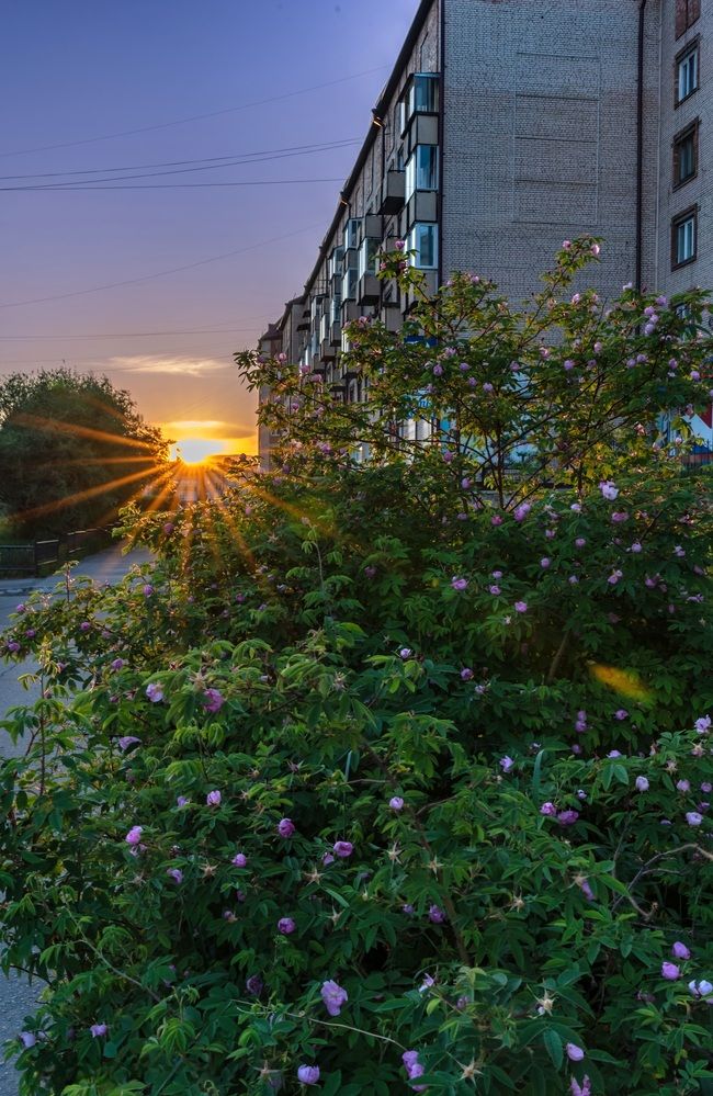 Photograph by Виктория Лобанова