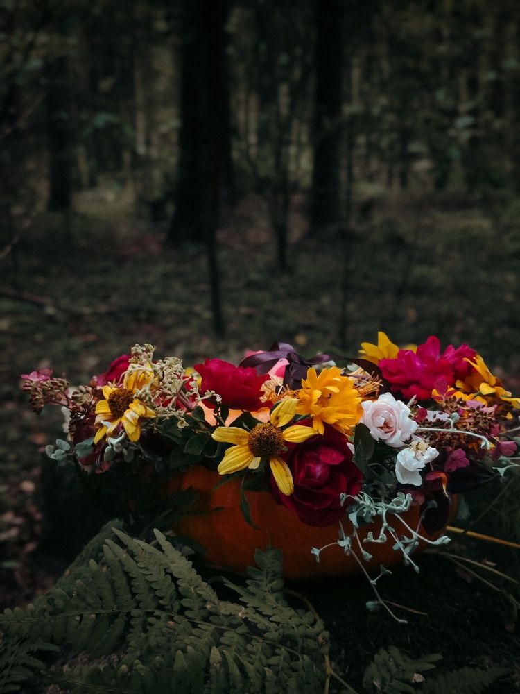 Photograph by Татьяна Соколовская