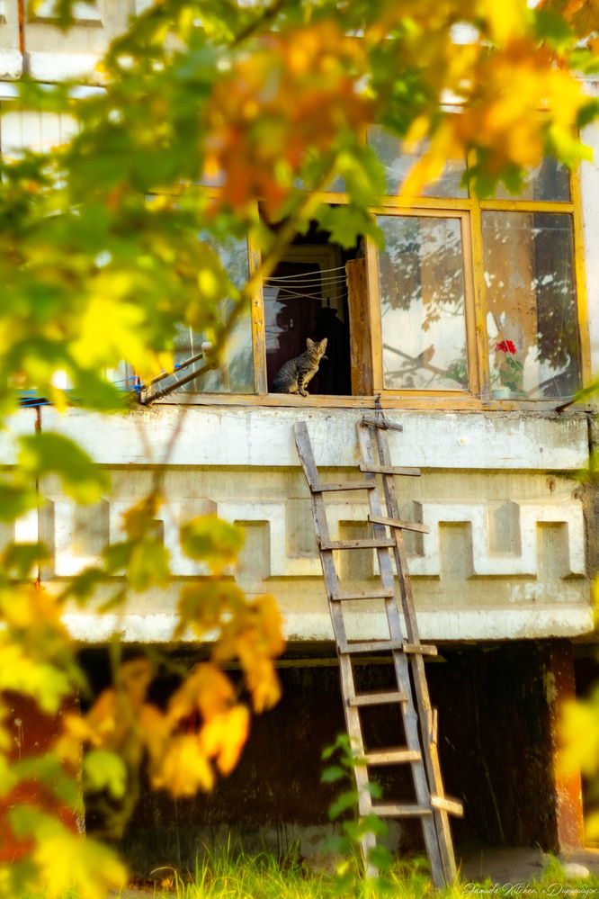 Фотография автора Aamoda Kitchen