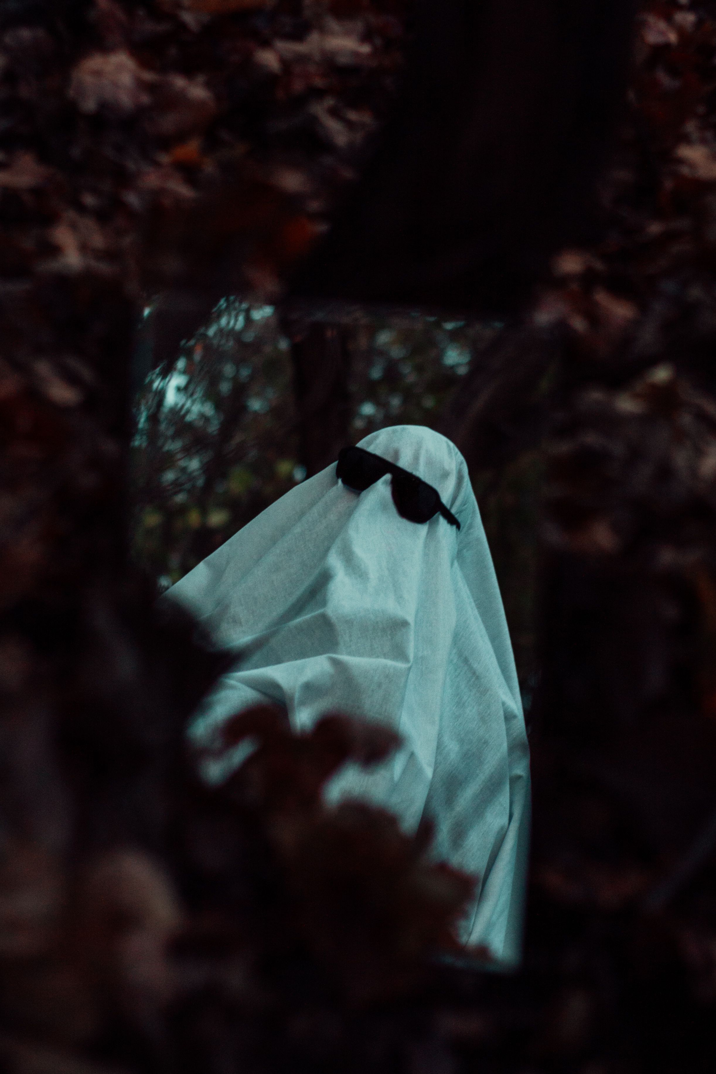 Photograph by Рената Тишина