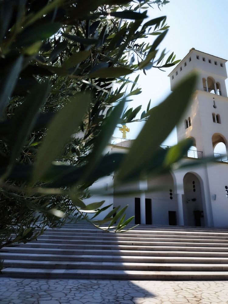 Фотография автора JELENA VASIC