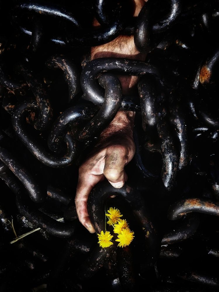 Фотография автора JELENA VASIC