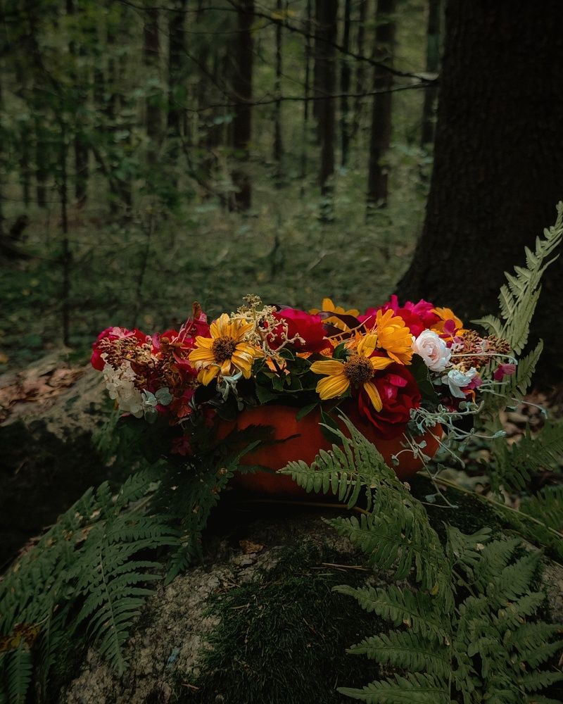 Photograph by Татьяна Соколовская