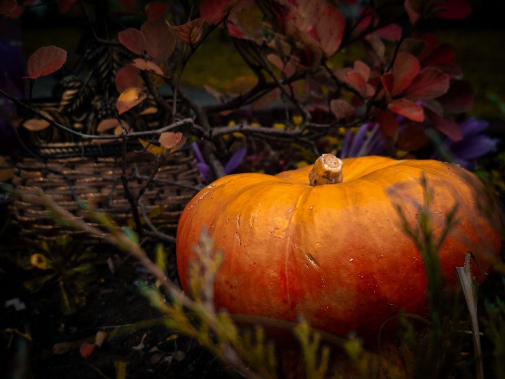 Photograph by Татьяна Соколовская