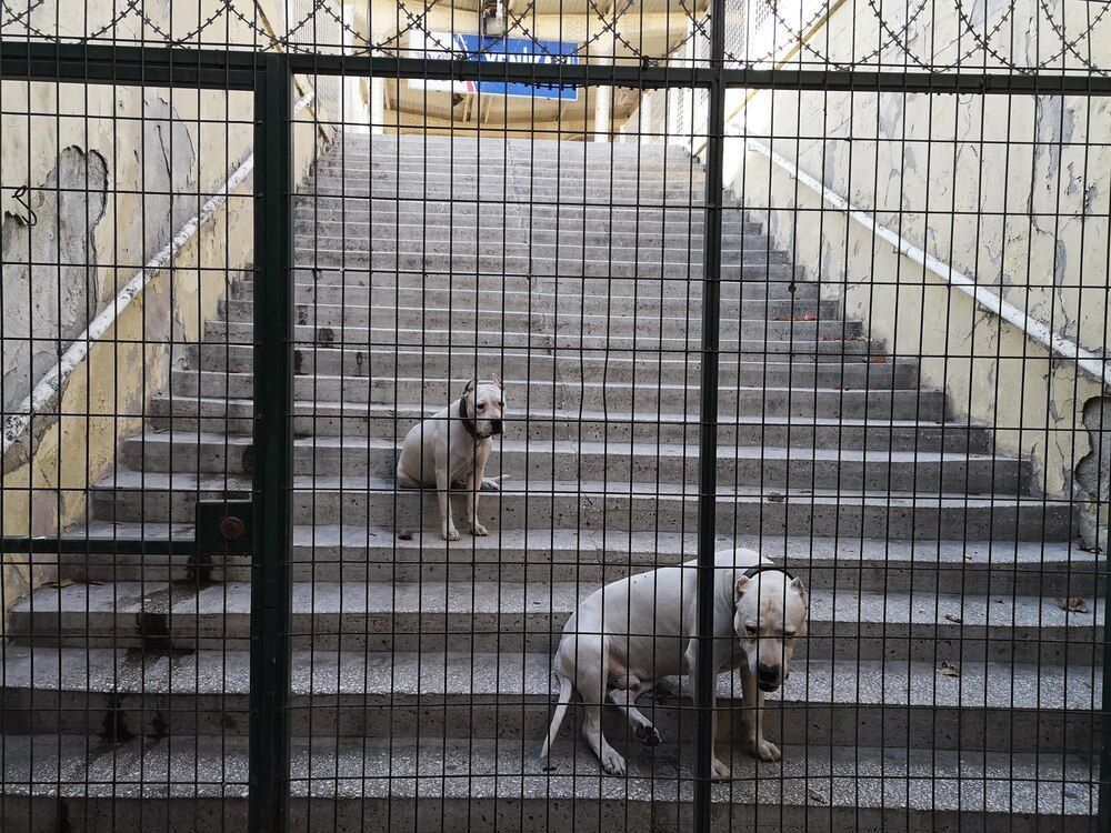 Photograph by Misha Khazov