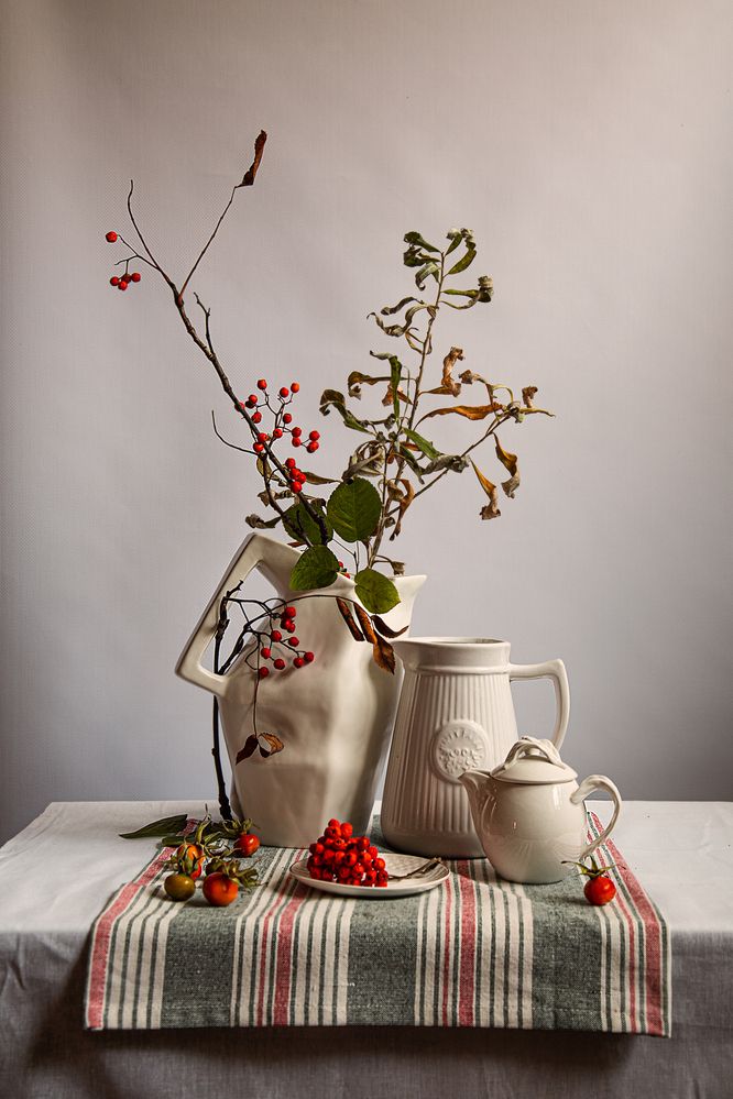 Фотография автора Елена Разина