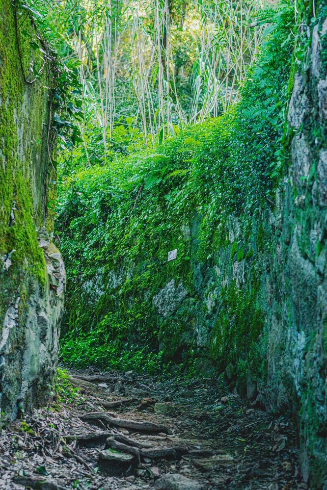 Фотография автора Antonio Etevaldo Rodrigues Junior