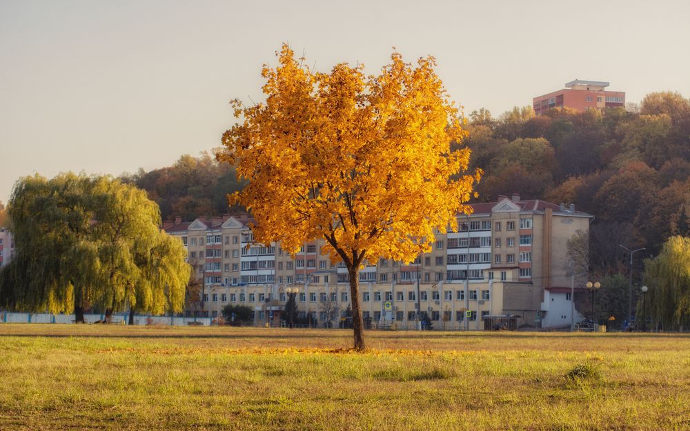 Photograph by Сергей Дишук