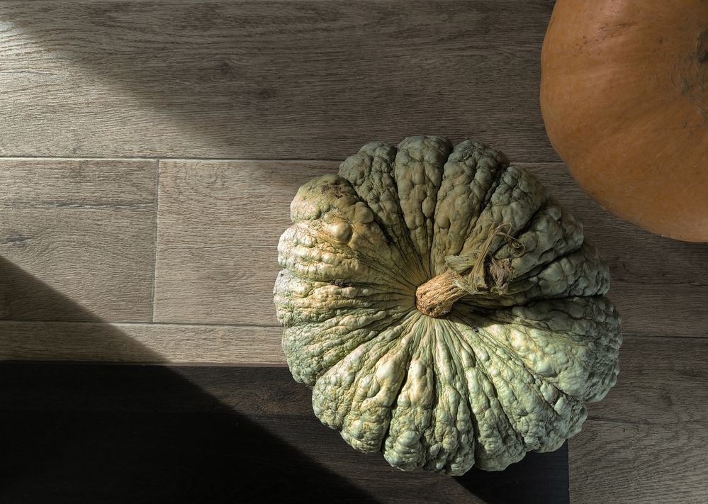 Photograph by Юрий Лядов