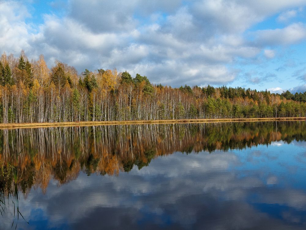 Photograph by Наталья Колеватова