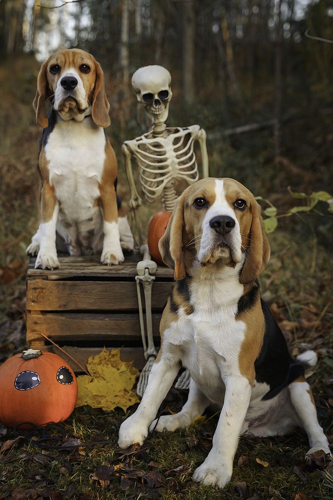 Photograph by Anna Sindikayeva