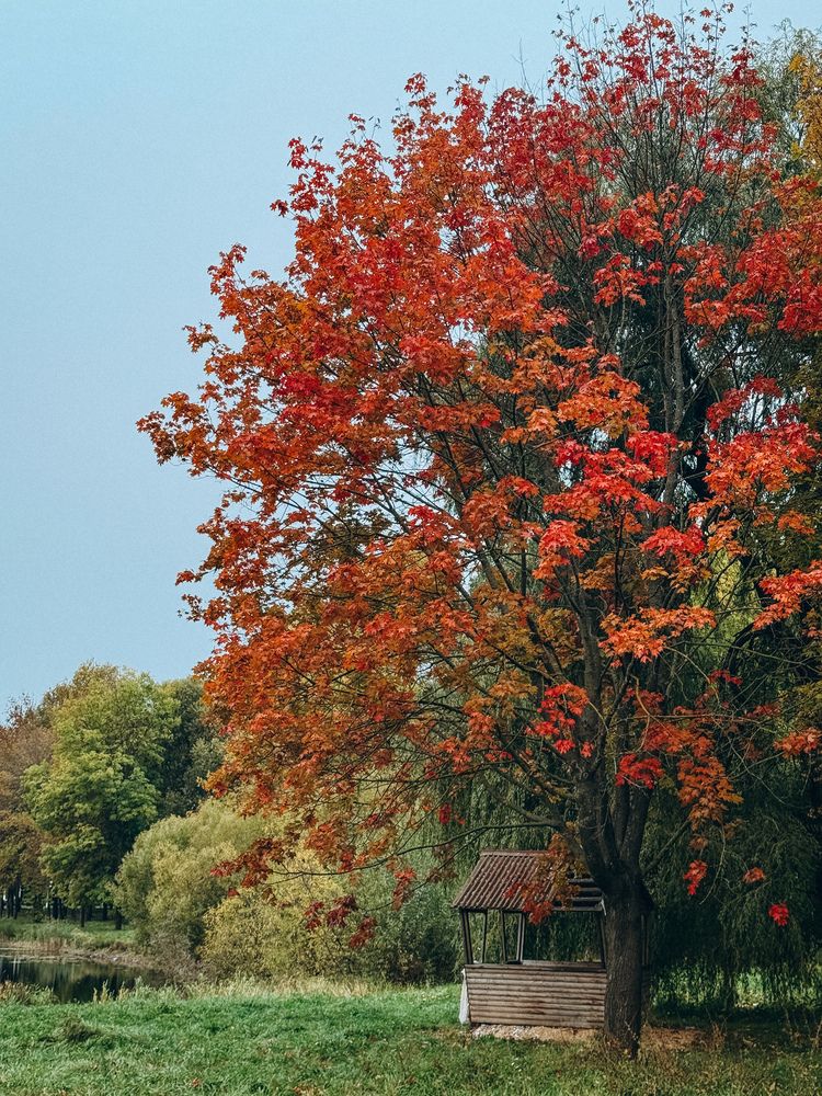 Photograph by Evgenia