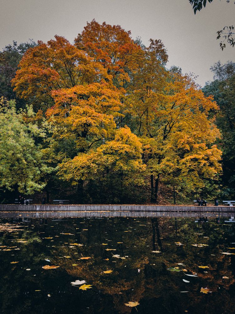 Фотография автора Марина Рябуха