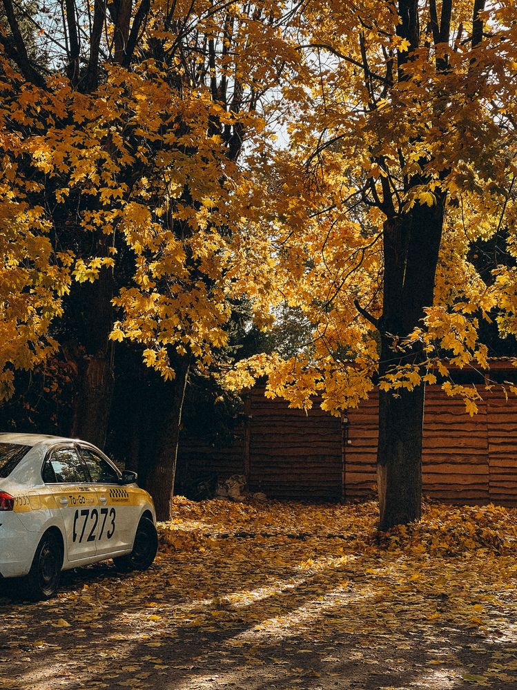 Photograph by Evgenia