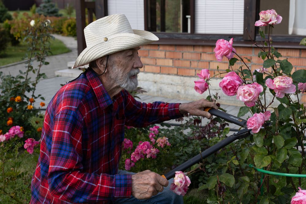 Photograph by Дашима