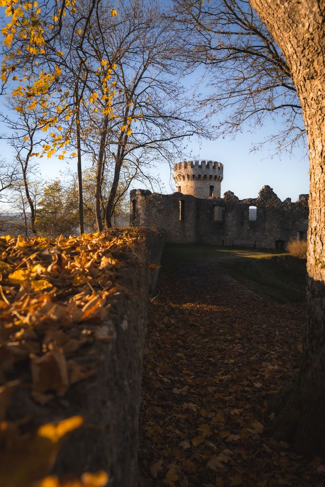 Photograph by Ed Simon