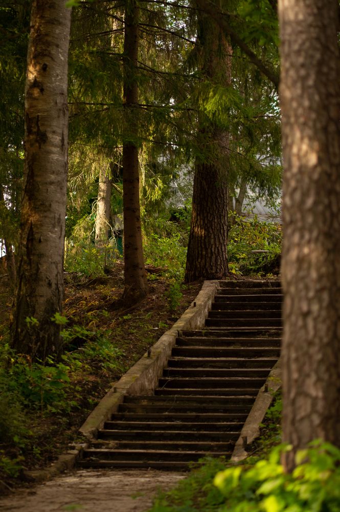 Photograph by Екатерина Одинцова