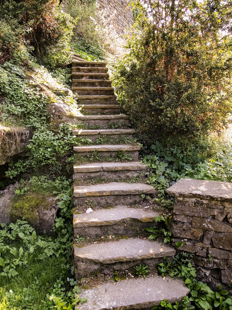 Photograph by Михаил Строев