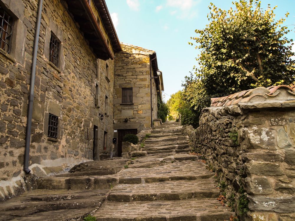 Photograph by Михаил Строев