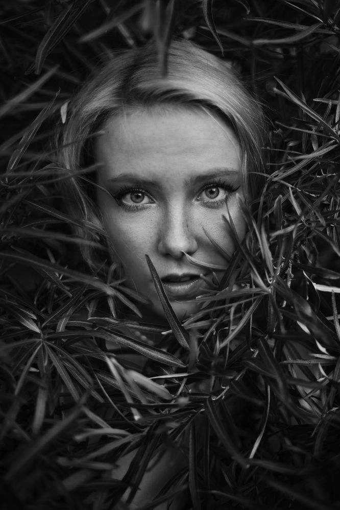 Photograph by Артем Артемьев