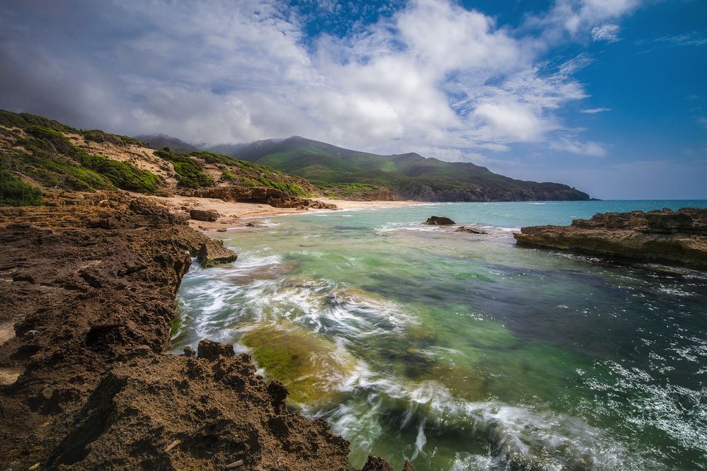 wild coast