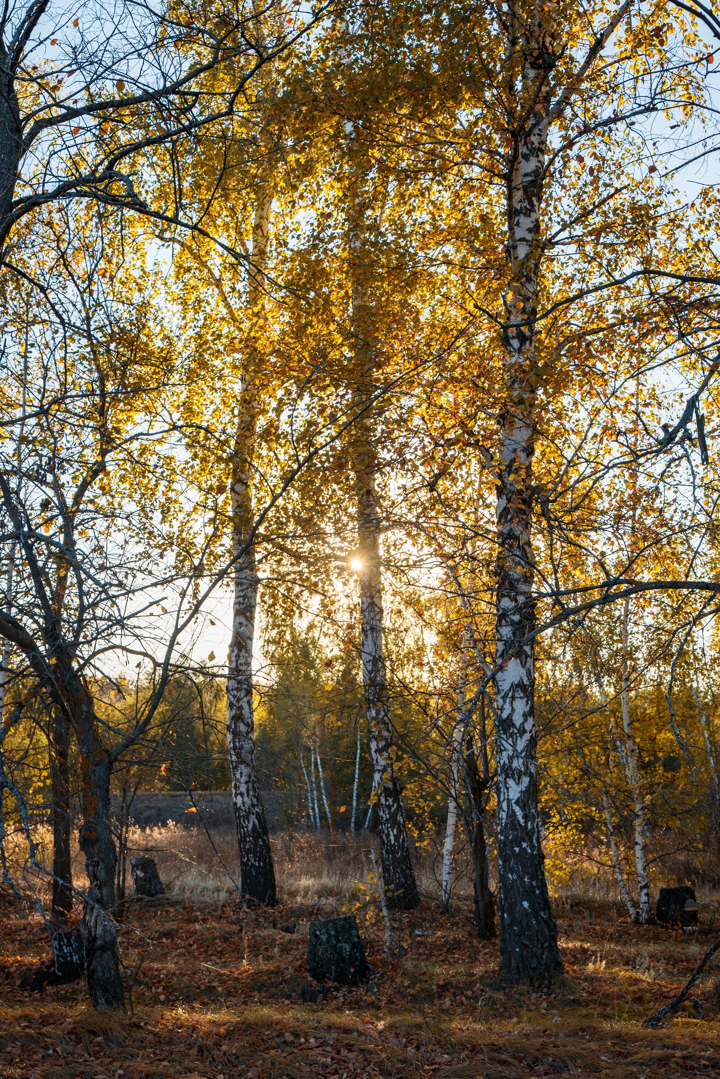 Photograph by Александр Журов