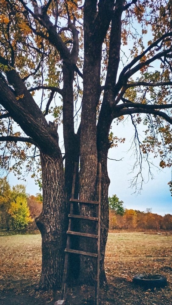 Photograph by Людмила Горячева