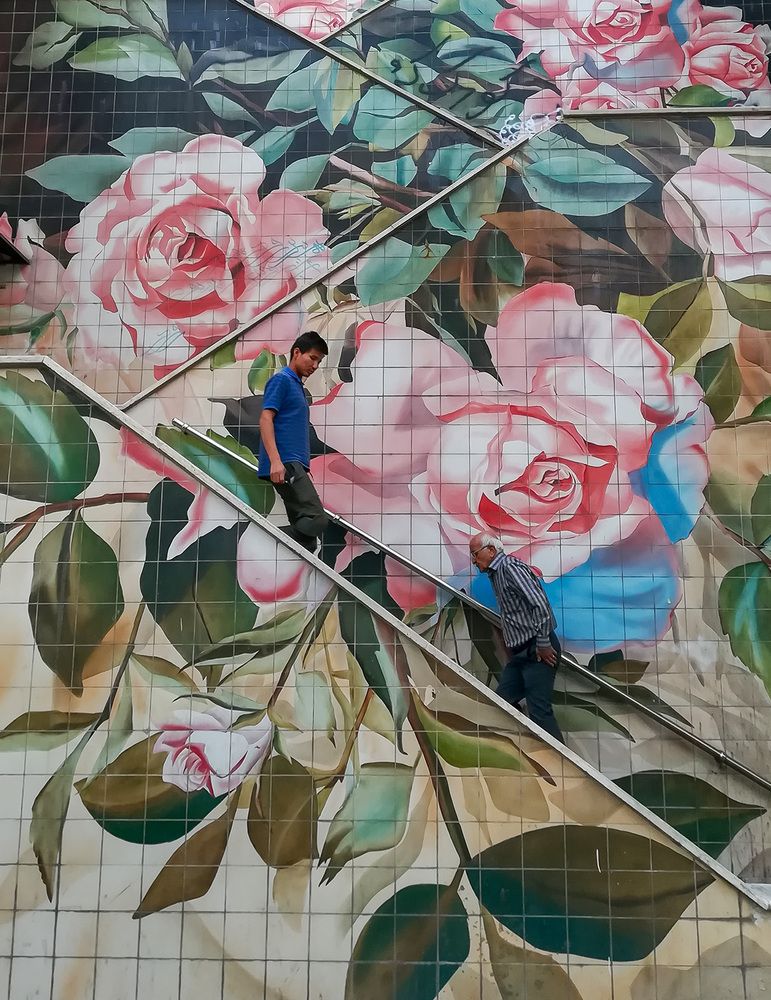 Photograph by Sahar Jafari