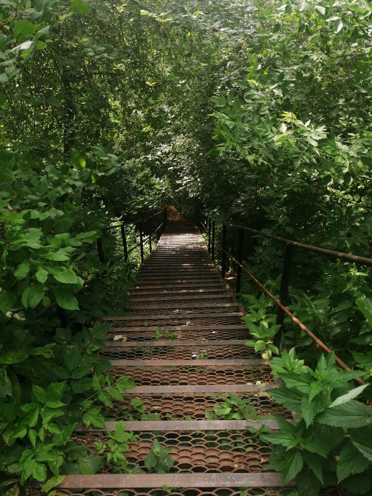 Photograph by Лиза Малыгина