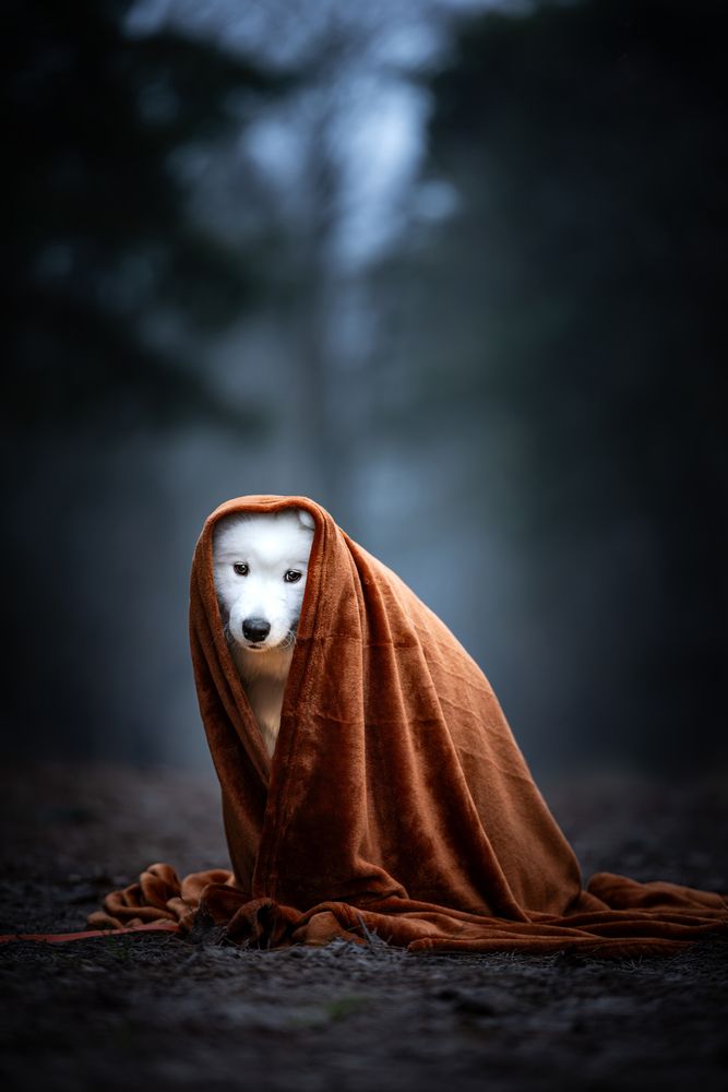 Photograph by Shanna van Mens