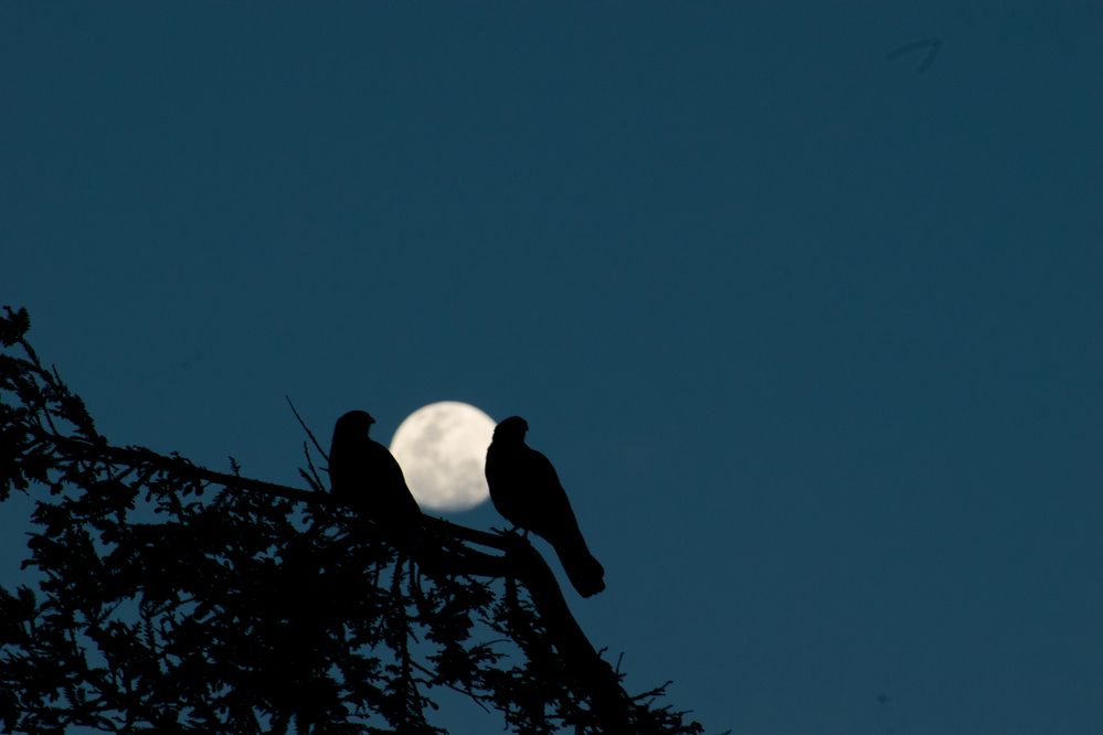 Photograph by lukas letelier hernandez