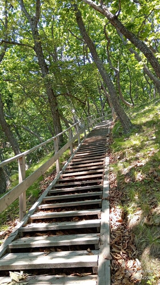 Photograph by Юлия Лихачева