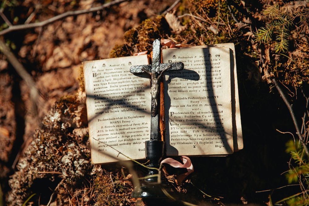 Фотография автора Юлия Соболева