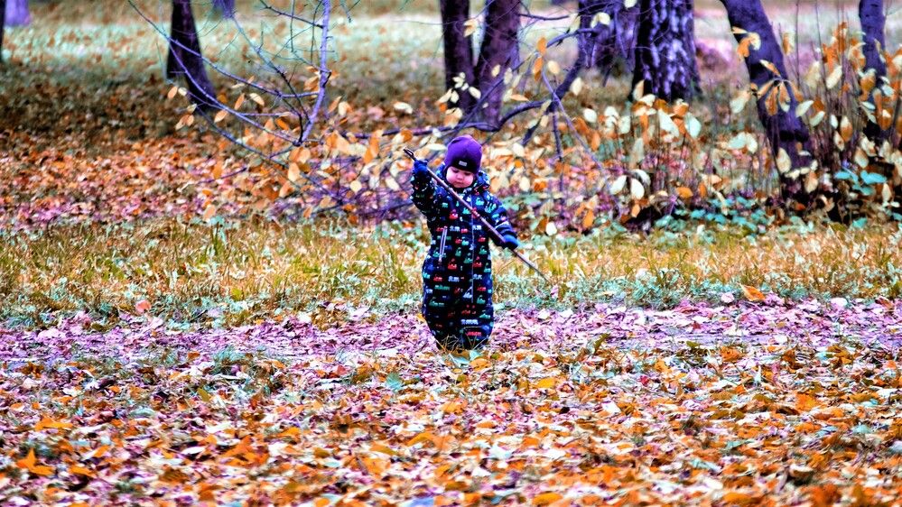 Photograph by Дмитрий