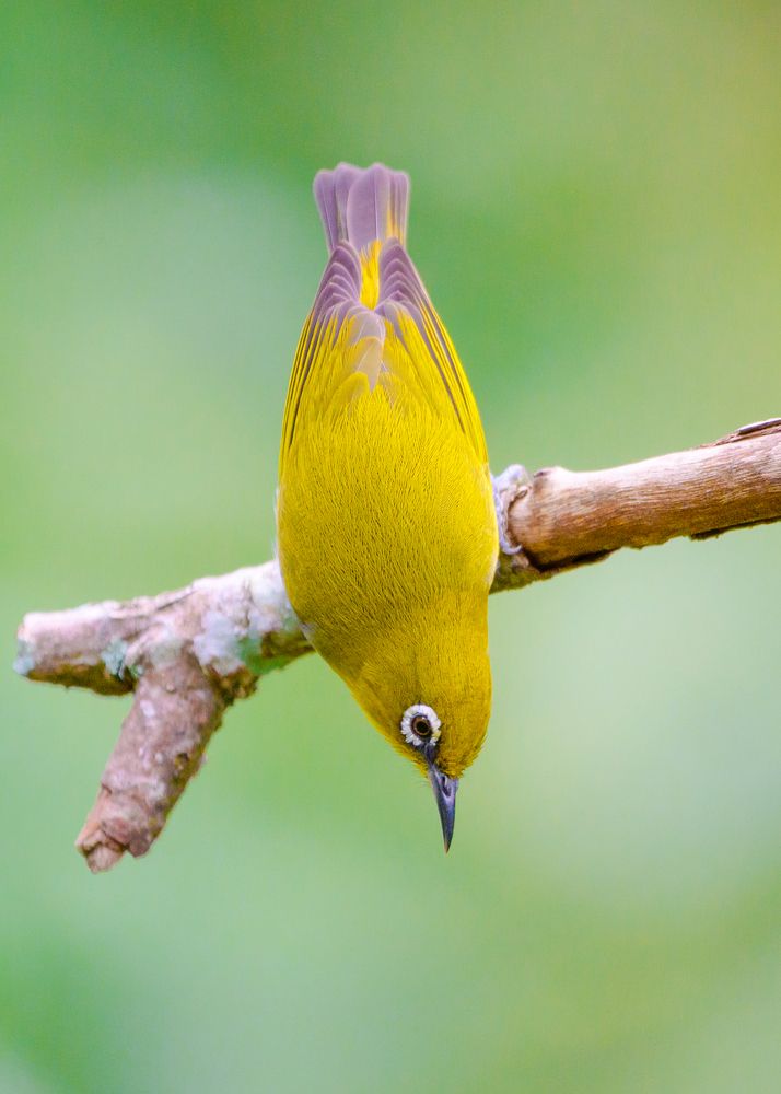 Фотография автора Sathishkumar S