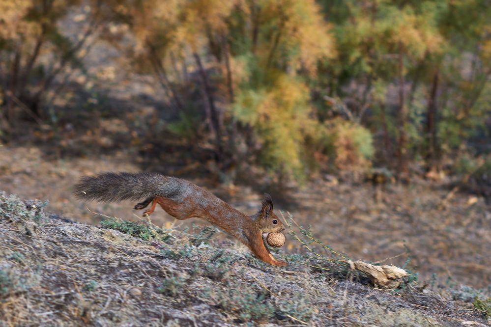 Photograph by Андрей Аксёнов