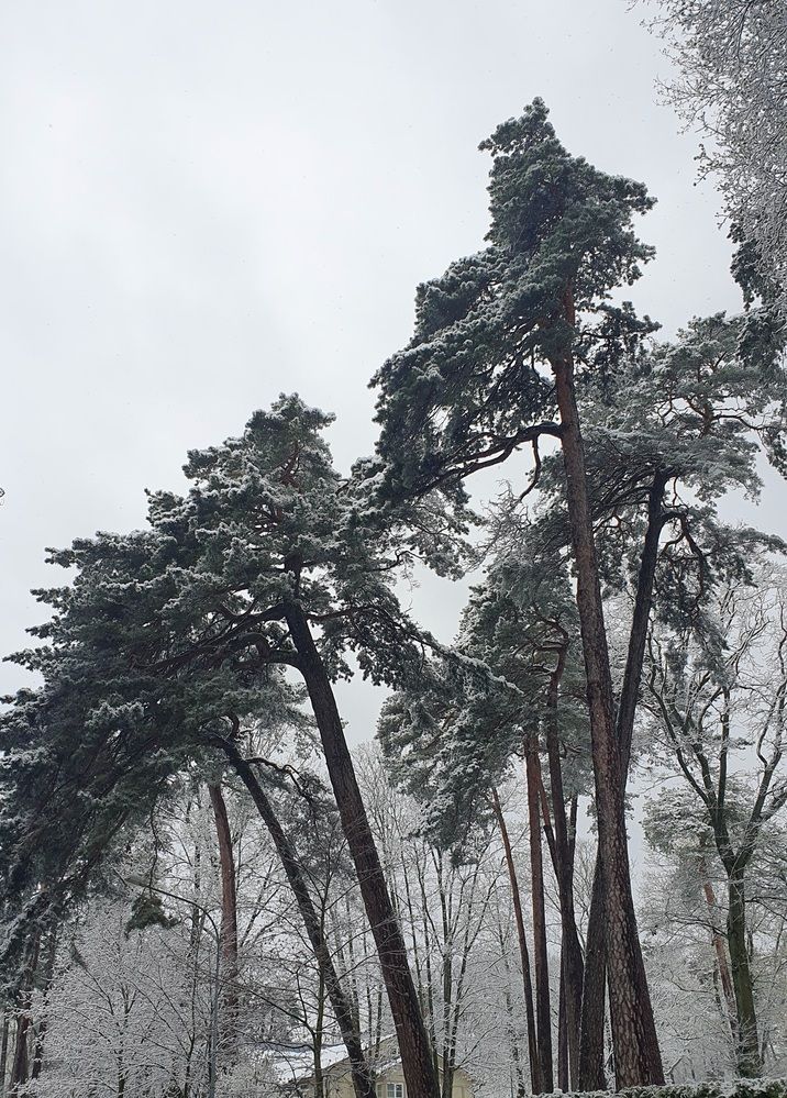 Photograph by Vadim