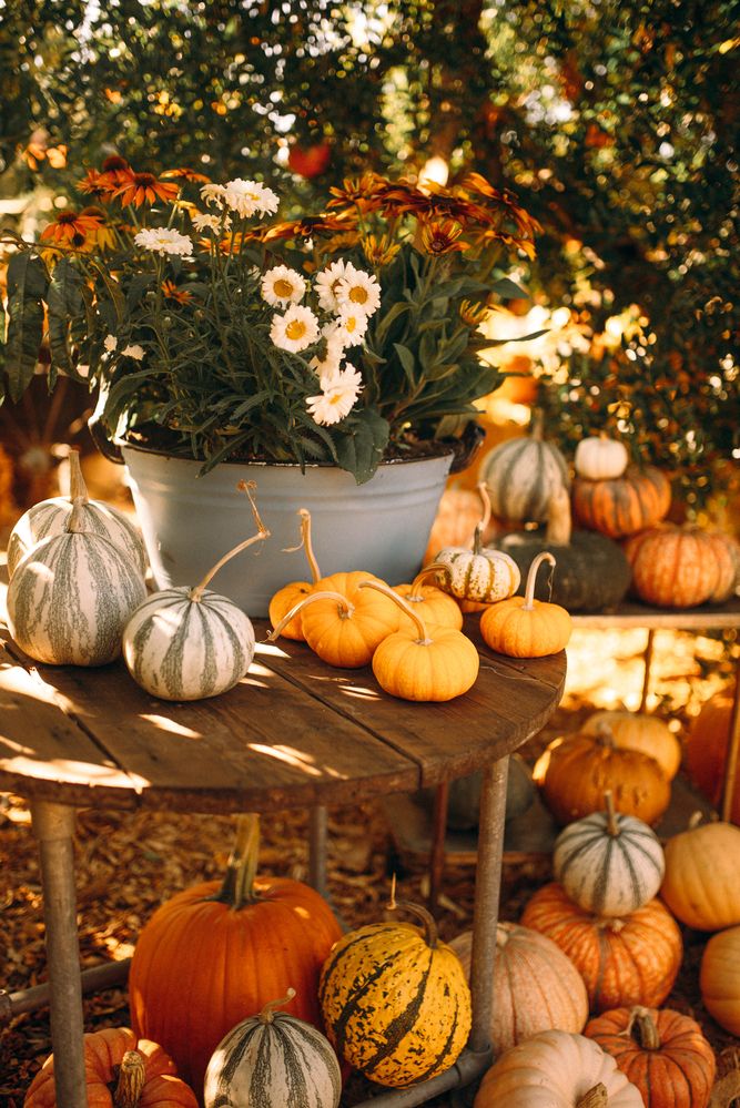 Photograph by Anna Vlasova