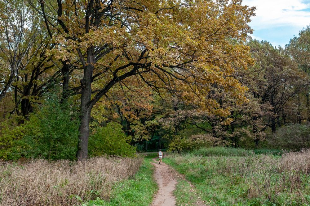 Photograph by Nikolay