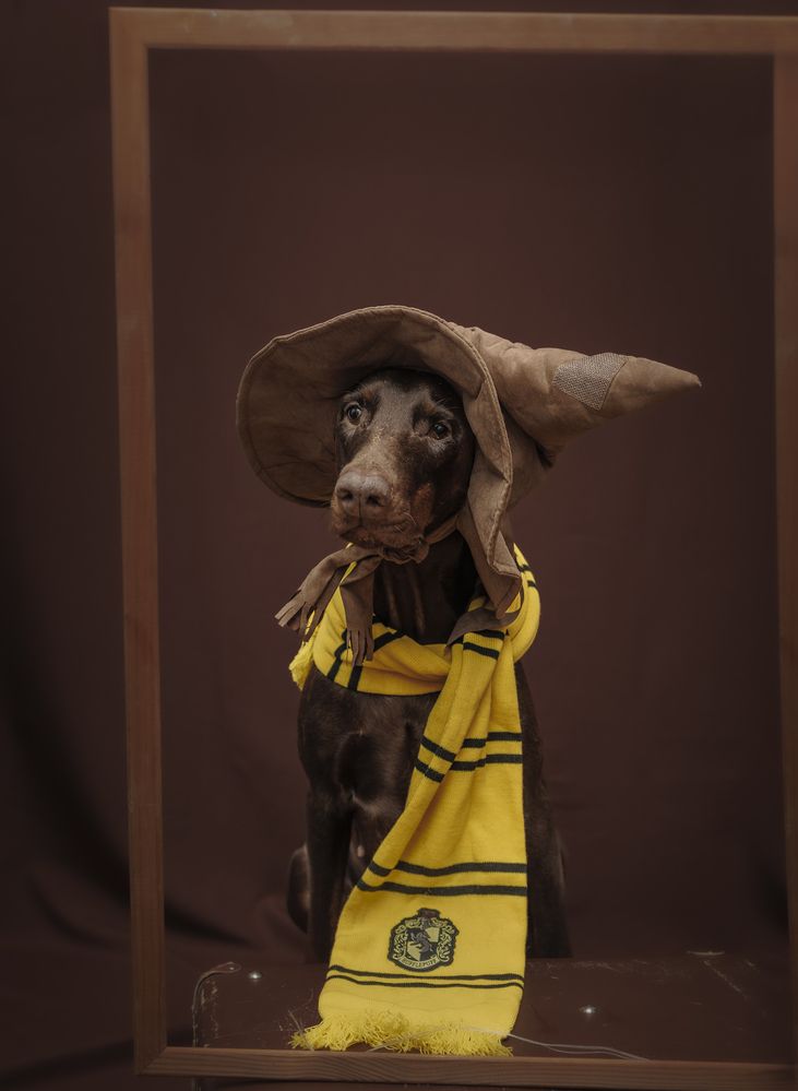 Photograph by Мария Клещенко