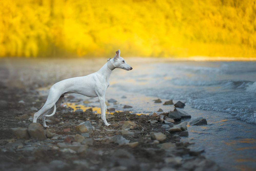 Photograph by Наталья Орел