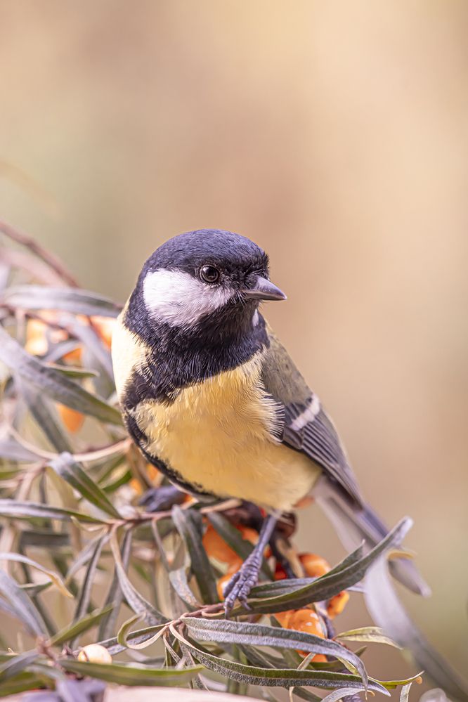 Photograph by Бурикова Екатерина