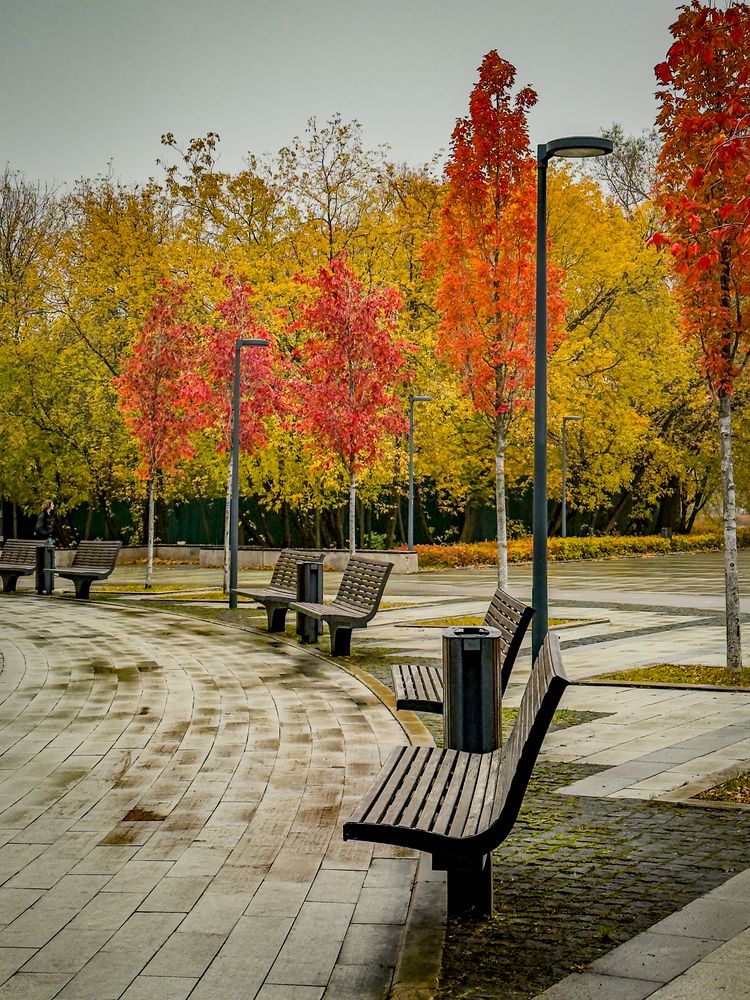 Photograph by Ekaterina Slepneva