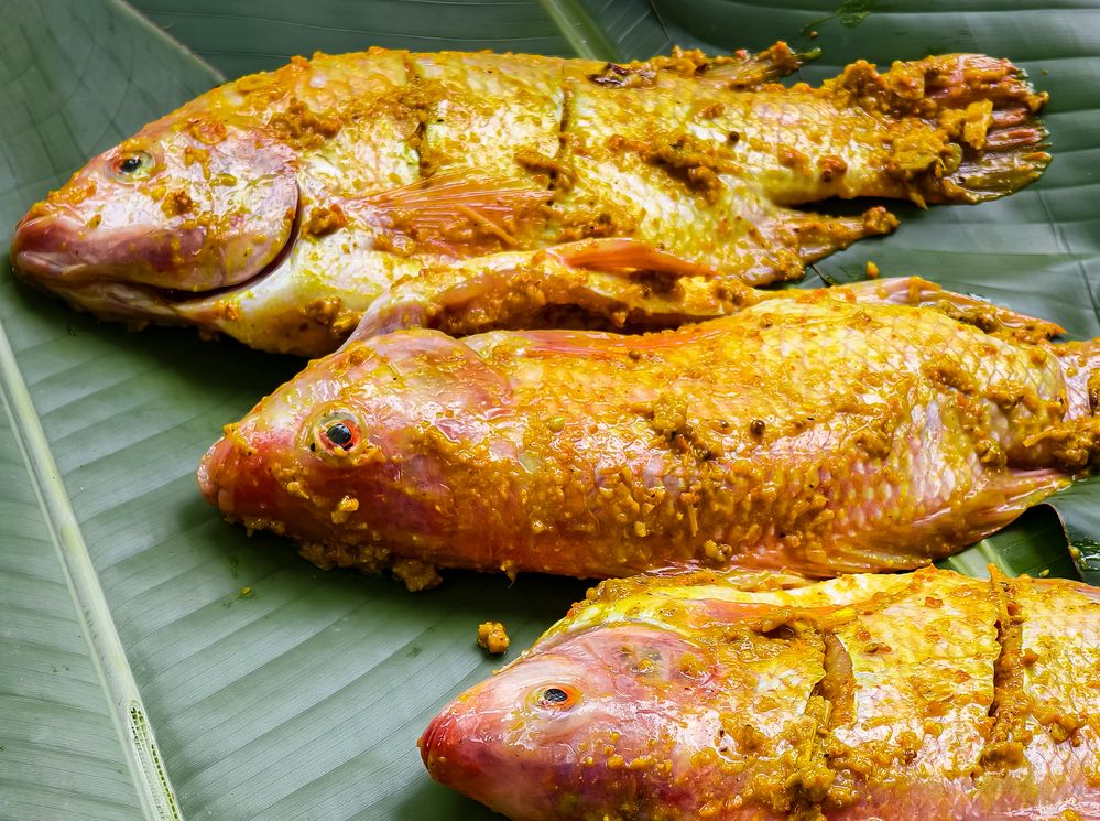 Photograph by Edi Hidayat