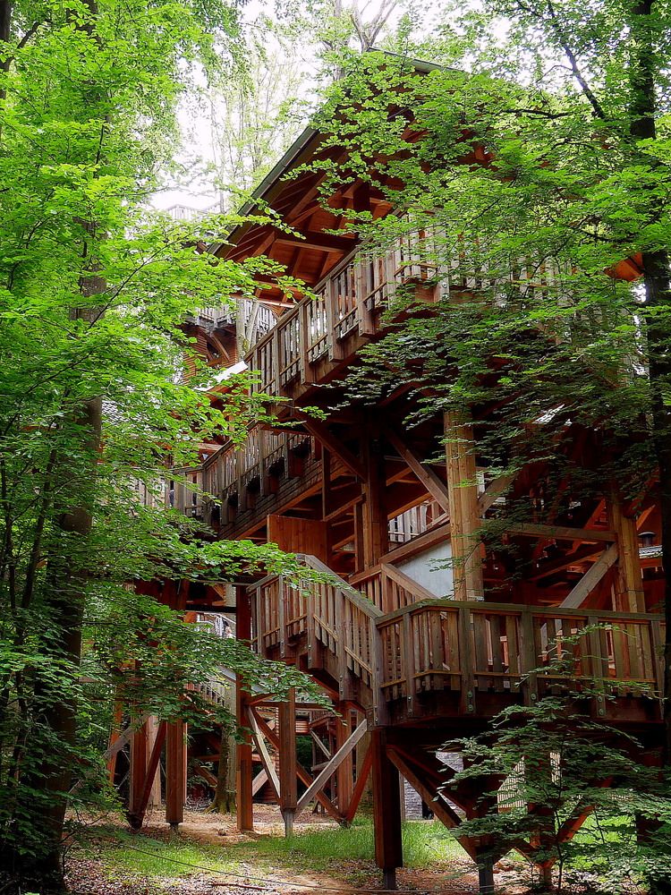 Photograph by Владимир Лобанов