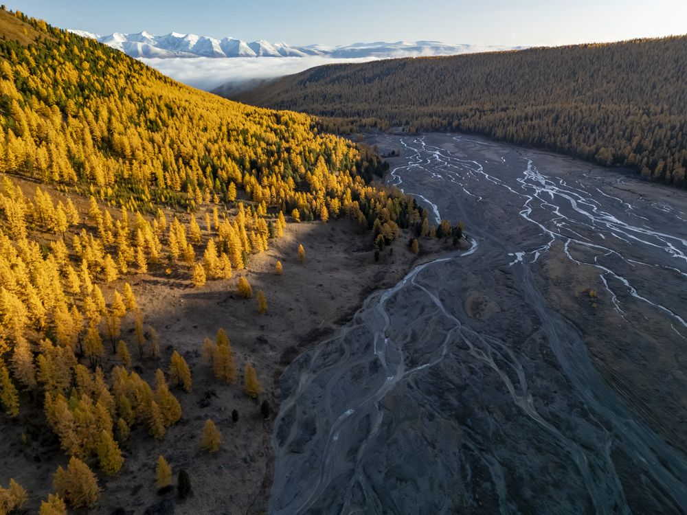 Photograph by Геннадий Кравченко