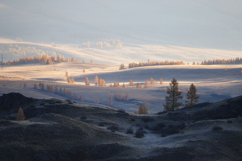 Photograph by Морозов Сергей