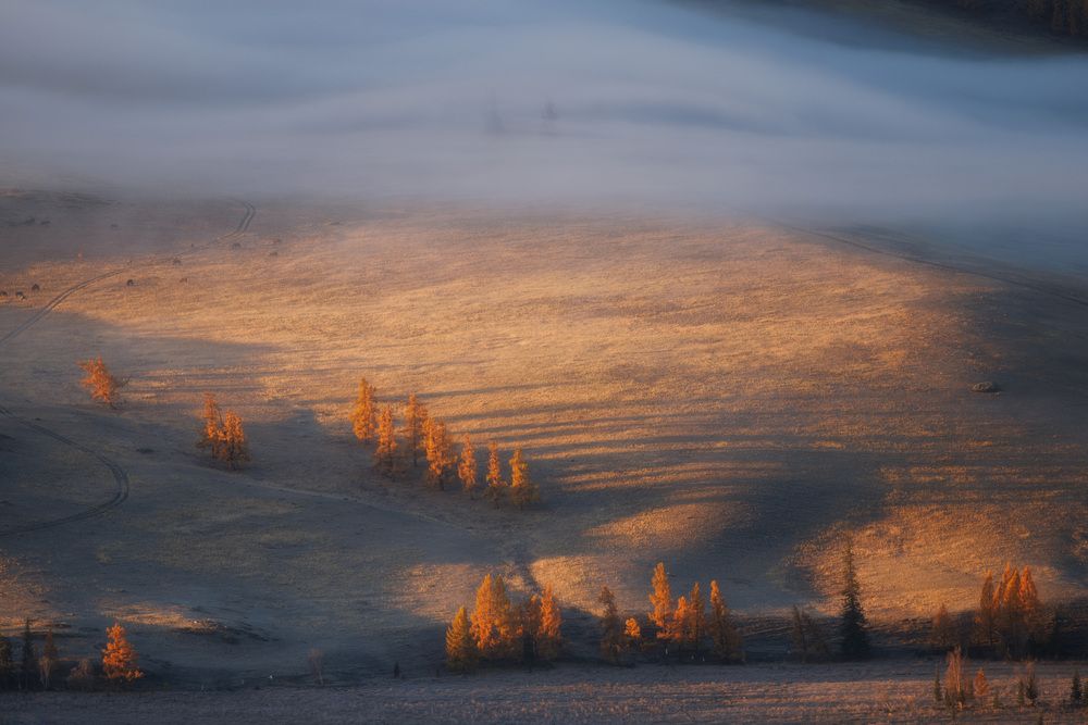 Photograph by Морозов Сергей