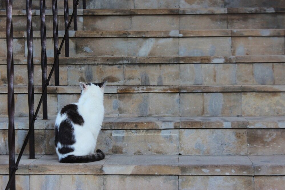 Photograph by Anastasia Kodatenko