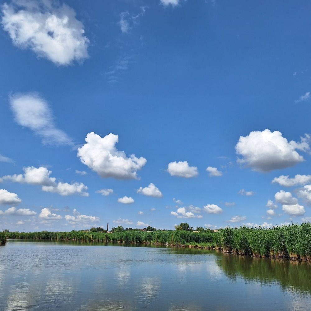 Photograph by Ирина Коржова
